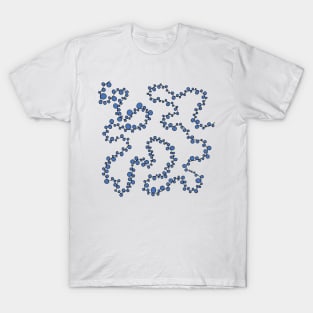 Footprint (blue) T-Shirt